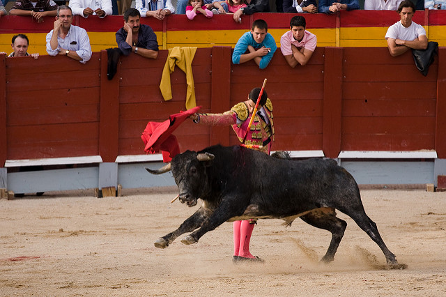 SOHM Inc (OTCMKTS:SHMN) On A Bull Run