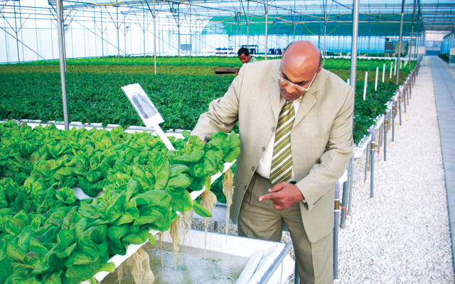 GreenGro Technologies Inc (OTCMKTS:GRNH) is Leveraging the New Cannabis Laws