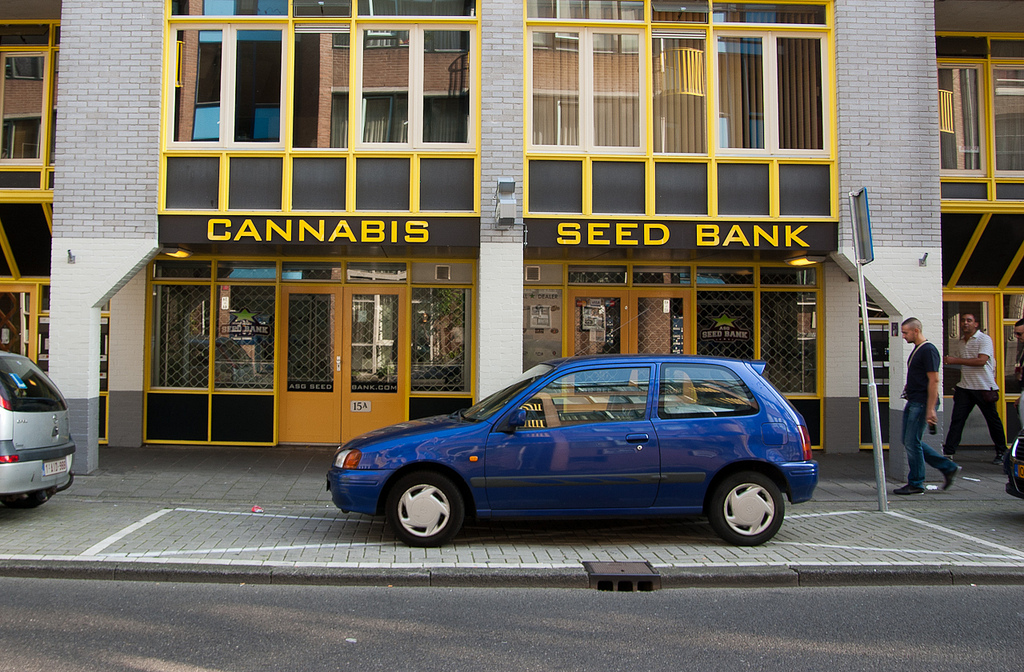 Blue Line Protection Group Inc (OTCMKTS:BLPG) Spikes Higher
