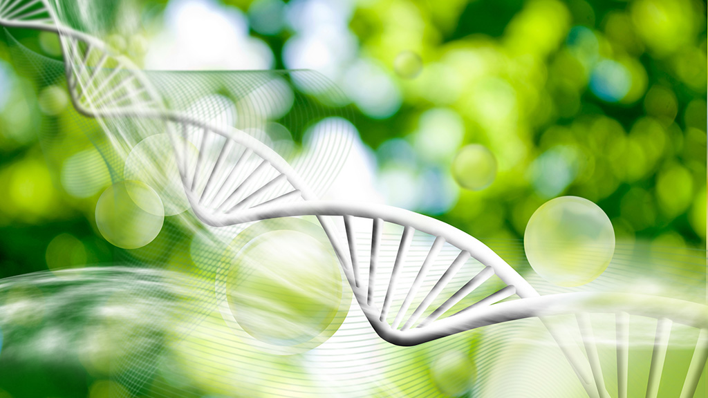 Guided Therapeutics Inc (OTCBB:GTHP) Makes Progress In Its Fight Against Cervical Cancer