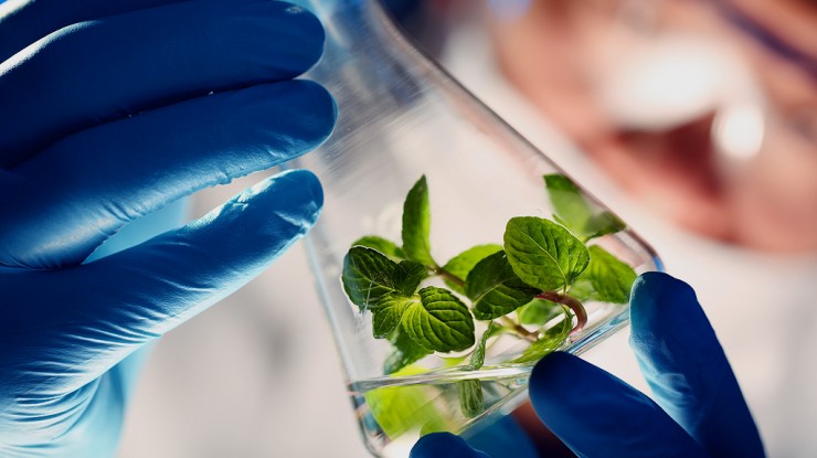 Axim Biotechnologies Inc (OTCMKTS:AXIM) Running Back Up The Charts