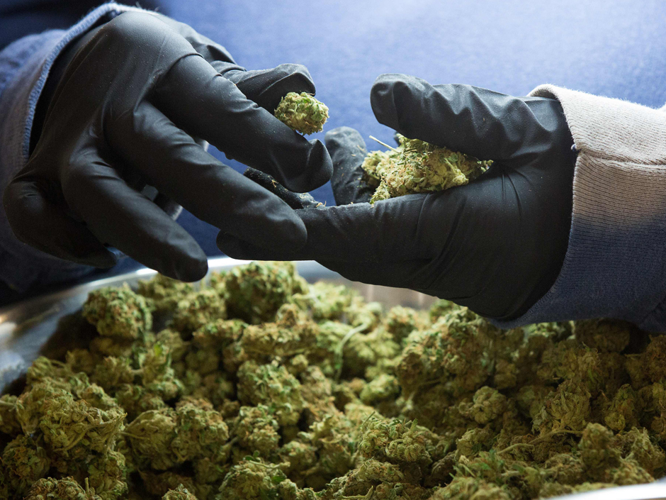 Canopy Growth Corp (NYSE:CGC) Has Now Listed on the New York Stock Exchange