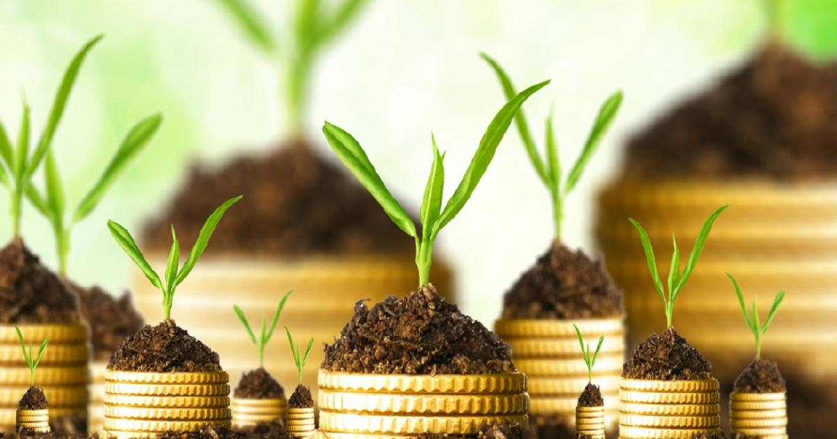 Phivida Holdings Inc. (CNSX:VIDA) Breakout Confirmed On Easing Short Selling Pressure