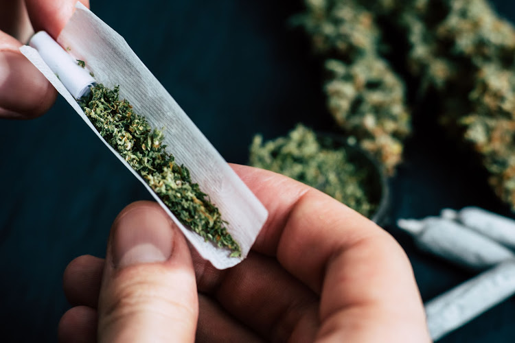 Weed Inc (OTCMKTS:BUDZ) Could Be A Long Term Play