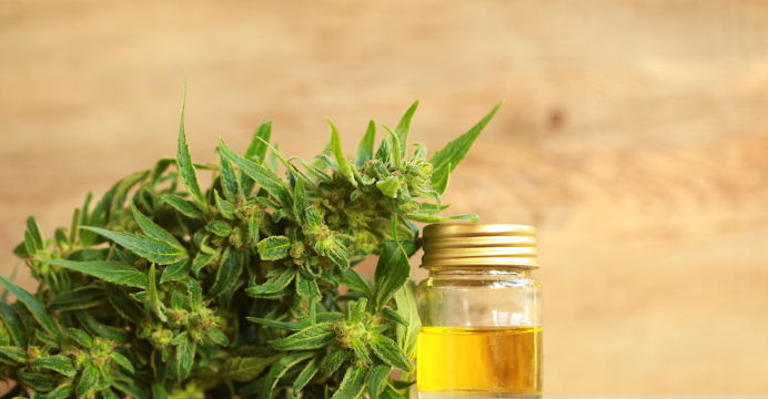What Next for Canbiola Inc (OTCMKTS:CANB) After 300% Spike?