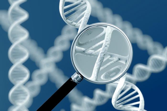 Propanc Biopharma Inc (OTCMKTS:PPCB) Showing Signs Of Bouncing After Imploding