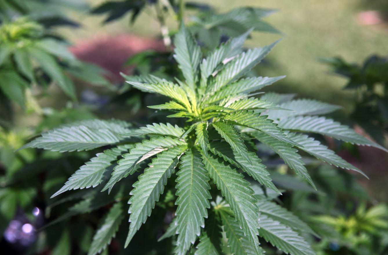 Isodiol International Inc (OTCMKTS:ISOLF) On A Trajectory Higher