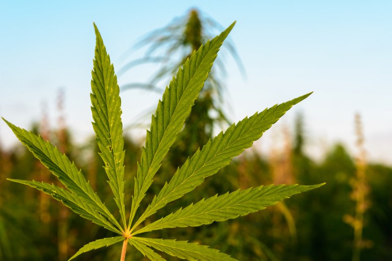 Micron Waste Technologies Inc (OTCMKTS:MICWF) Turns Bullish After Aurora Cannabis Inc (OTCMKTS:ACBFF) Trials