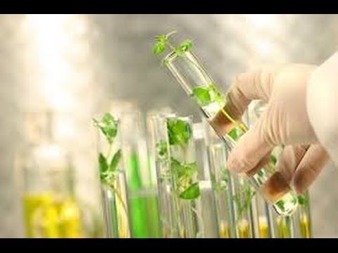 Maricann Group Inc (CNSX:WAYL) Due For A Bounce As Rebranding And European Expansion Drive Take Center Stage