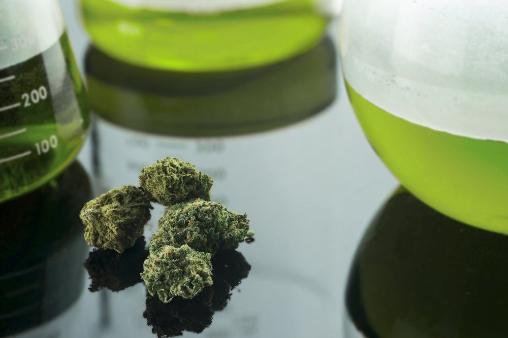 Kona Gold Solutions Inc (OTCMKTS:KGKG): Strengthening Fundamentals
