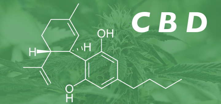 How To Play Real Brands Inc (OTCMKTS:RLBD) After 700% Plus Spike