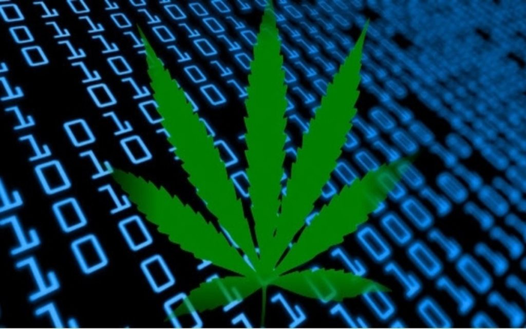 WeedMD Inc (CVE:WMD): Buy Low and Sell Very High