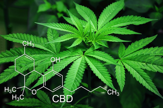 India Globalization Capital Inc (OTCMKTS:IGCC) Ventures Into Cannabis-Infused Beverages