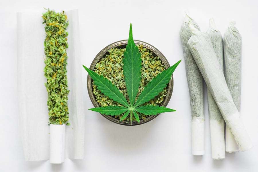 Green Organic Dutchman Holdings Ltd (OTCMKTS:TGODF) Turns Bearish After Sales Miss