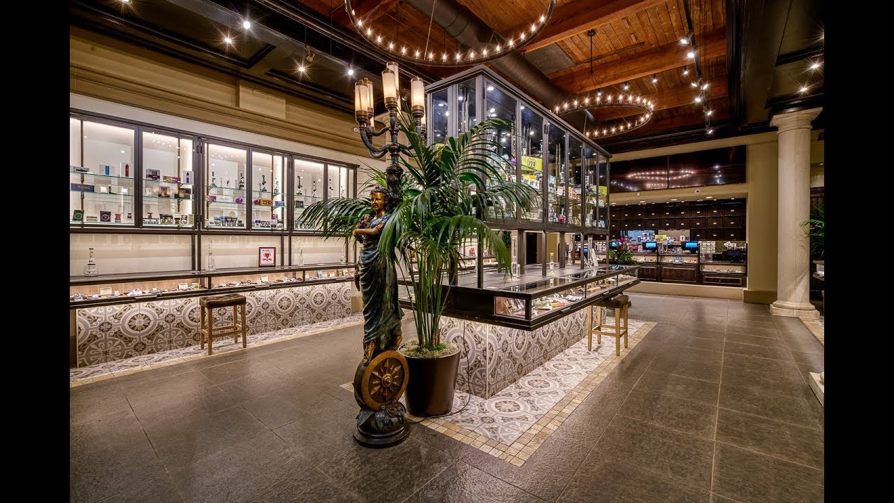 Why Diego Pellicer Worldwide Inc (OTCMKTS:DPWW) Is A Buy