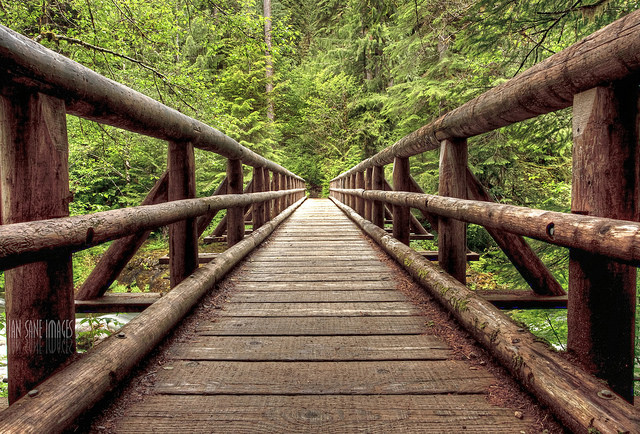 Supreme Cannabis Company Inc (OTCMKTS:SPRWF) On The Comeback Trail