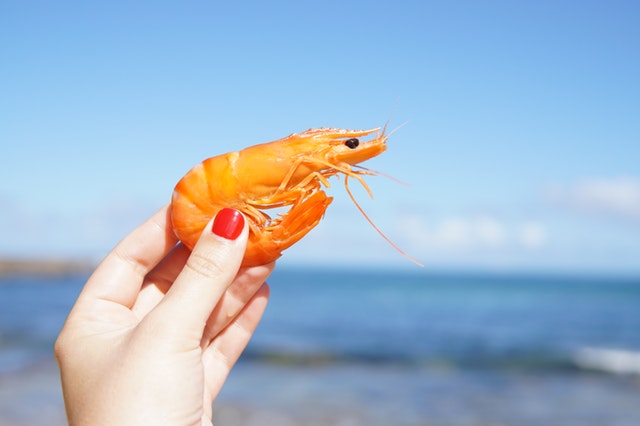 NaturalShrimp Inc (OTCMKTS:SHMP) Bulls Regain Control