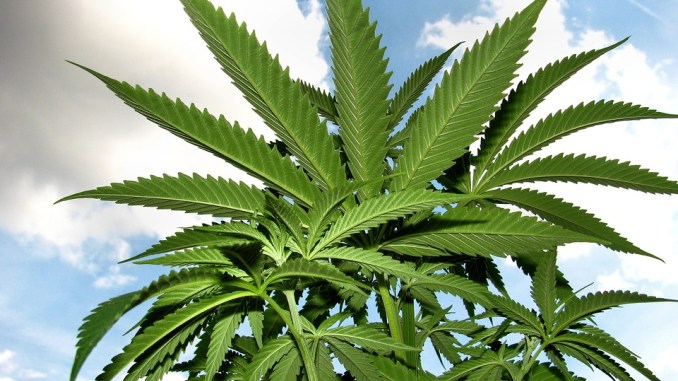 OWC Pharmaceutical Research Corp (OTCMKTS:OWCP) Selloff Showing Signs of Exhaustion