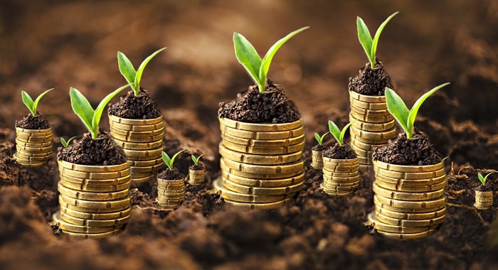 Verus International Inc (OTCMKTS:VRUS) Rallies After $1.45 Million Financing