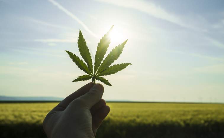Liberty Health Sciences Inc (OTCMKTS:LHSIF) Bulls Set To Gain Momentum