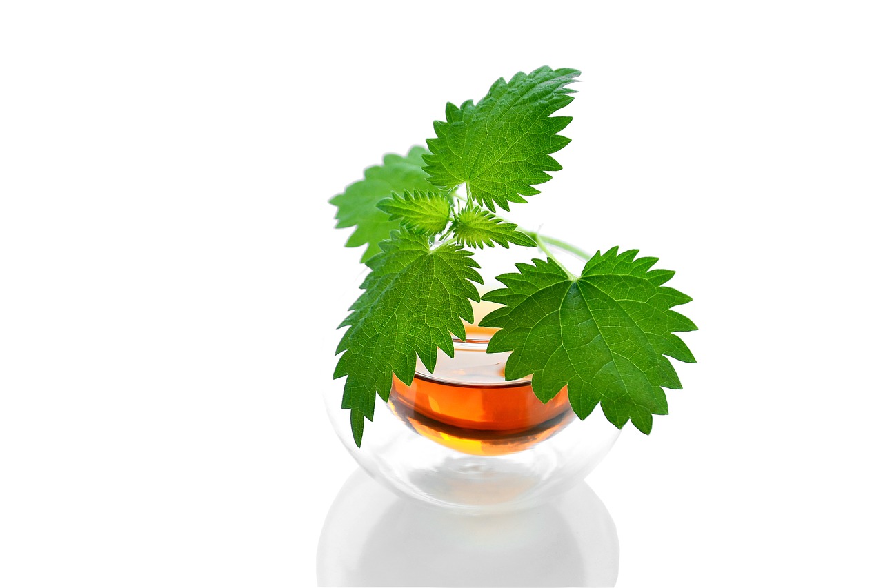 Cannamerica Brands Corp (OTCMKTS:CNNXF) Battered But Not Yet Out
