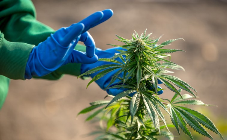 Namaste Technologies Inc (OTCMKTS:NXTTF) Banking On U.K Expansion and Israel
