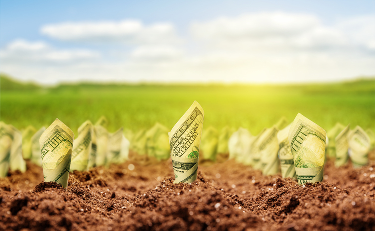 ProGreen Properties Inc (OTCMKTS:PGUS) Needs More Catalysts