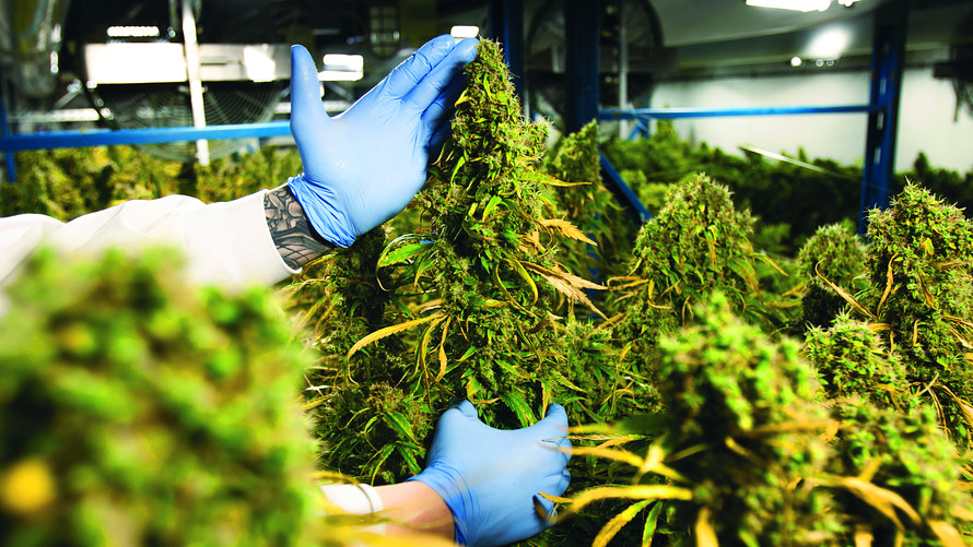 Why OrganiGram Holdings Inc (OTCMKTS:OGRMF) Is Still A Buy