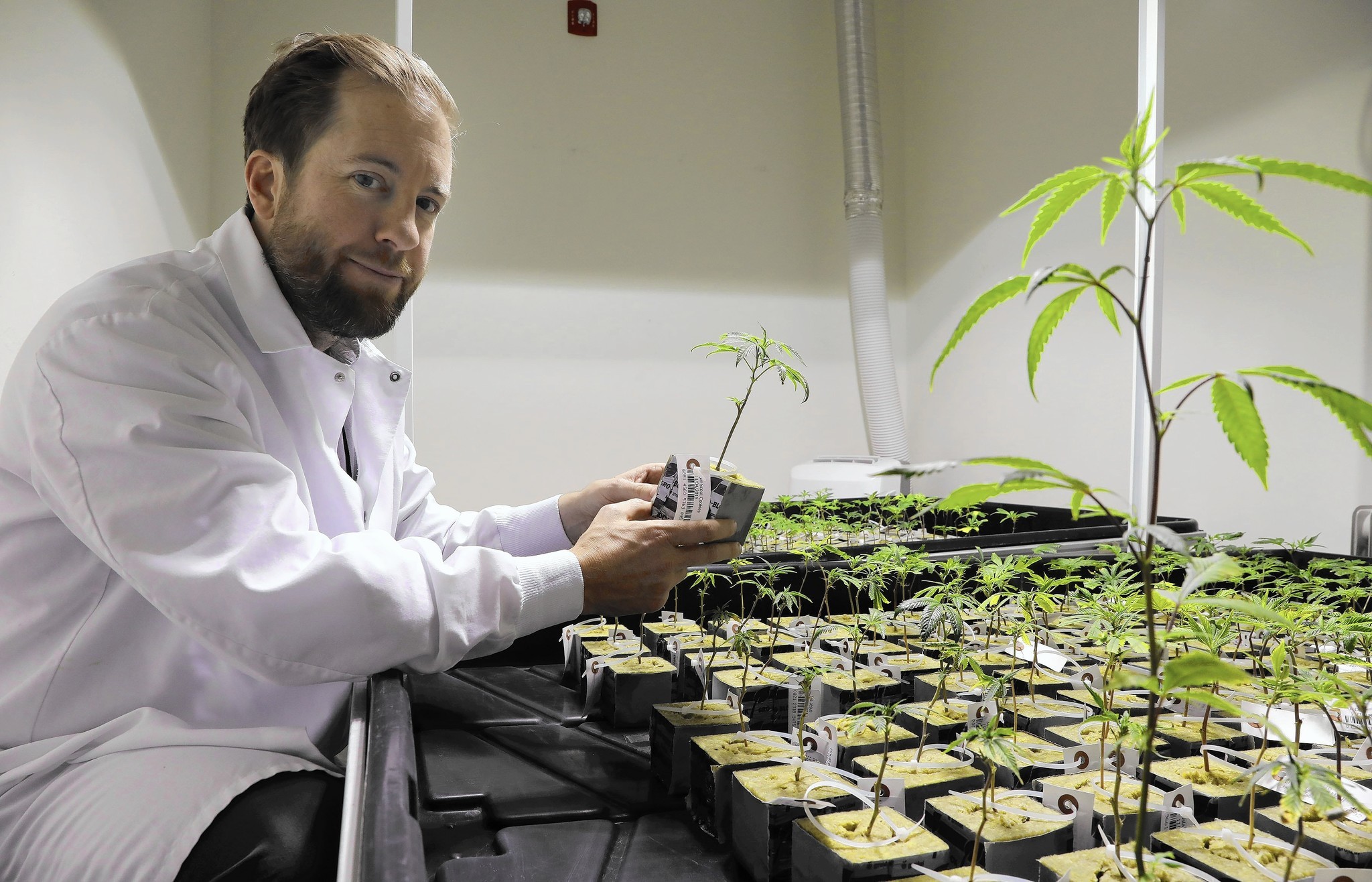 Cresco Labs Inc (OTCMKTS:CRLBF) On A Bull Run
