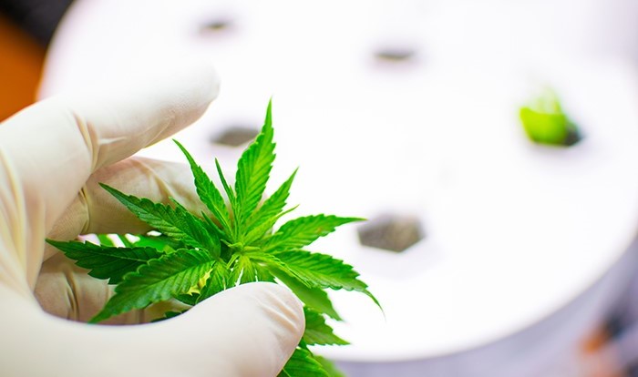 Global Consortium Inc (OTCMKTS:GCGX) Time To Be Bullish