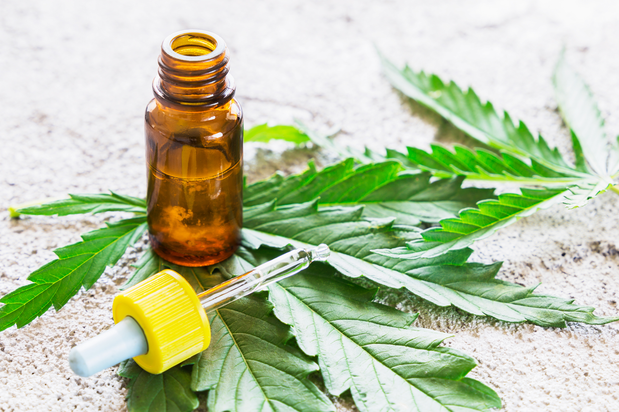 Charlotte's Web Holdings Inc (OTCMKTS:CWBHF) Continues Climbing