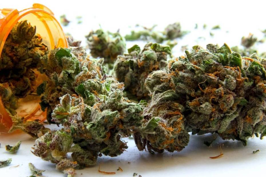 Curaleaf Holdings Inc (OTCMKTS: CURLF) Primed For Further Gains