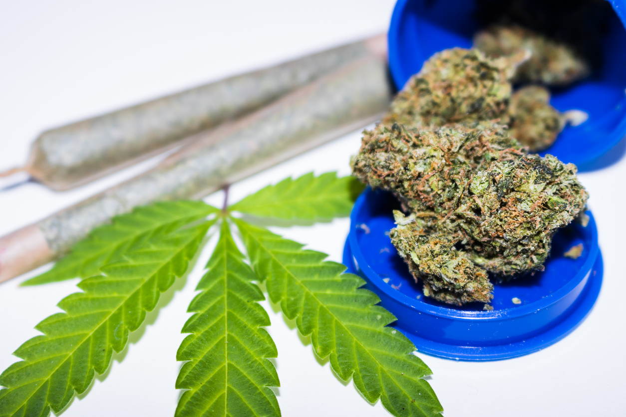 Blueberries Medical Corp (CNSX:BBM) Turns Bullish
