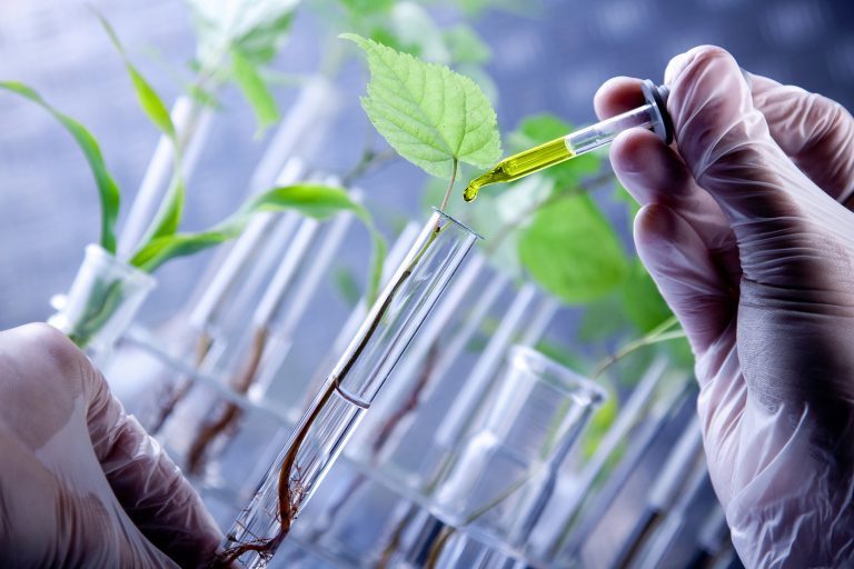 Emerald Bioscience Inc (OTCMKTS: EMBI) Spikes To Two-Year Highs