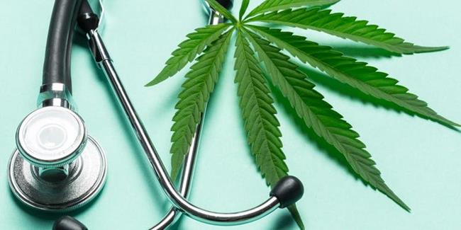 THC Therapeutics Inc (OTCMKTS: THCT) Explodes Up The Charts