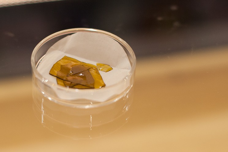 CBD of Denver Inc (OTCMKTS: CBDD) Rising From The Dead On CBD Transition