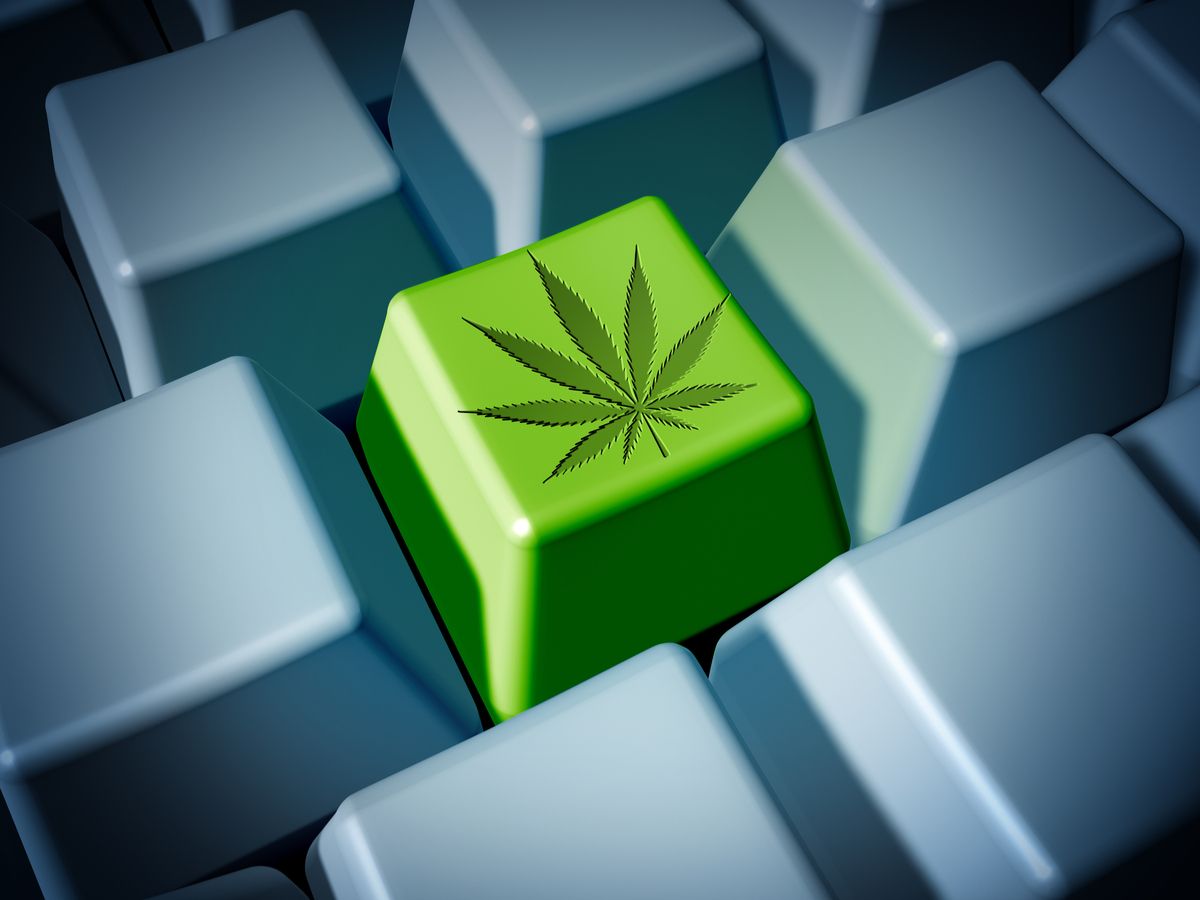 TransCanna Holdings Inc (CNSX: TCAN) Skyrocketing After California Expansion