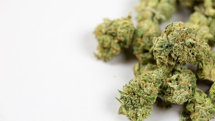 Why Plus Products Inc (OTCMKTS: PLPRF) Is A ‘Buy’