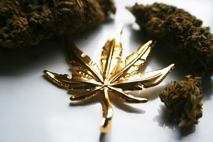 KushCo Holdings Inc (OTCMKTS: KSHB): 240% Revenue Growth Offsets Widening Net Loss Concerns