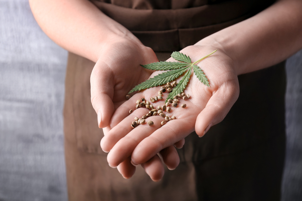Trulieve Cannabis Corp (OTCMKTS: TCNNF) Fundamentals Still Strong Despite Recent Price Slump