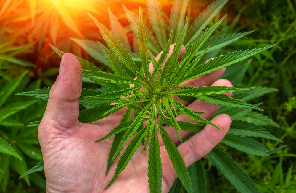 Why Puration Inc (OTCMKTS: PURA) Is Rated A Buy