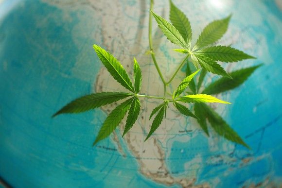 MariMed Inc (OTCMKTS: MRMD) Rebounds Off Key Support, Eyes Further Gains