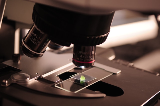 Moleculin Biotech Inc (NASDAQ: MBRX) Rinse and Repeat