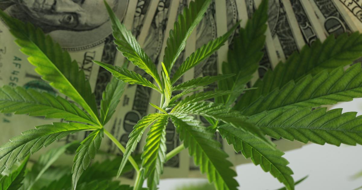 Namaste Technologies Inc (OTCMKTS:NXTTF) Is A Discount Entry Opportunity