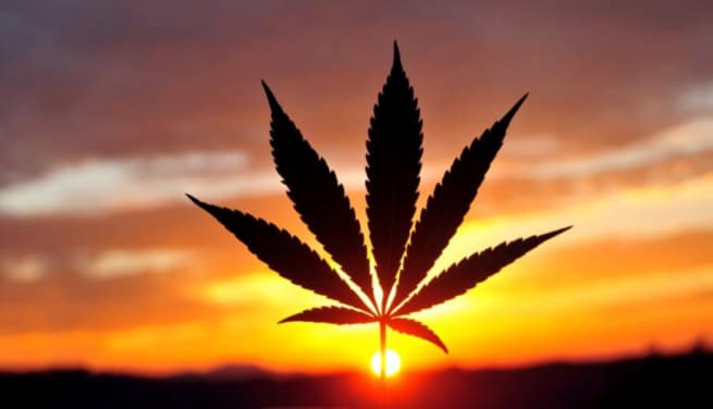 Buy The Dips In Blueberries Medical Corp (OTCMKTS: BBRRF)