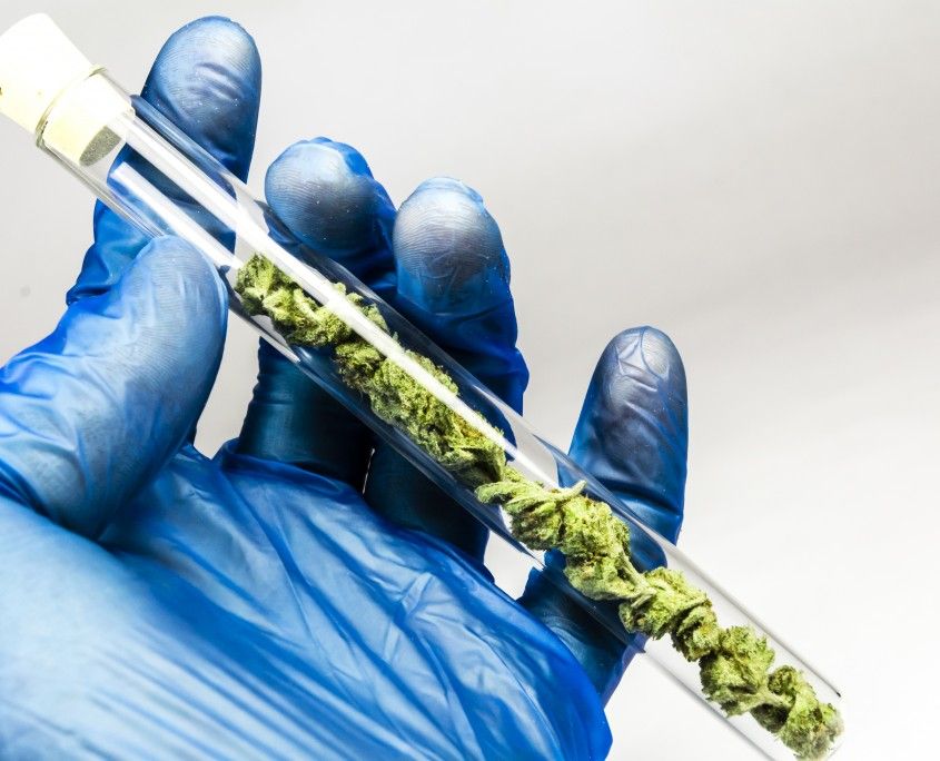 Cannabix Technologies Inc. (OTCMKTS:BLOZF) Bounce Back Dependent on Marijuana Breathalyzer Development