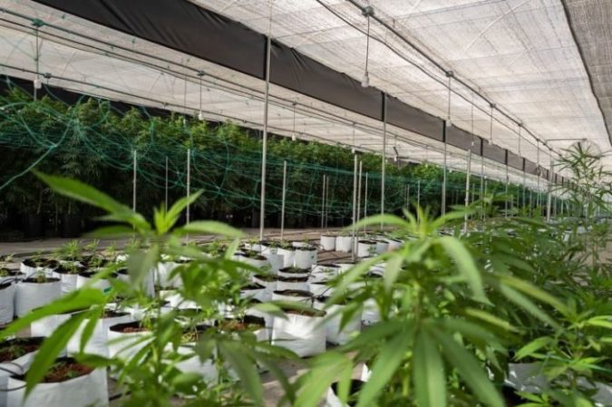 Khiron Life Sciences Corp (OTCMKTS: KHRNF) Shows Strong Rebound, Further Upside Eyed