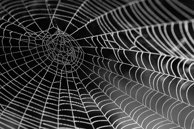Kraig Biocraft Laboratories Inc (OTCMKTS: KBLB) Delivers 400% Gains, More To Come?