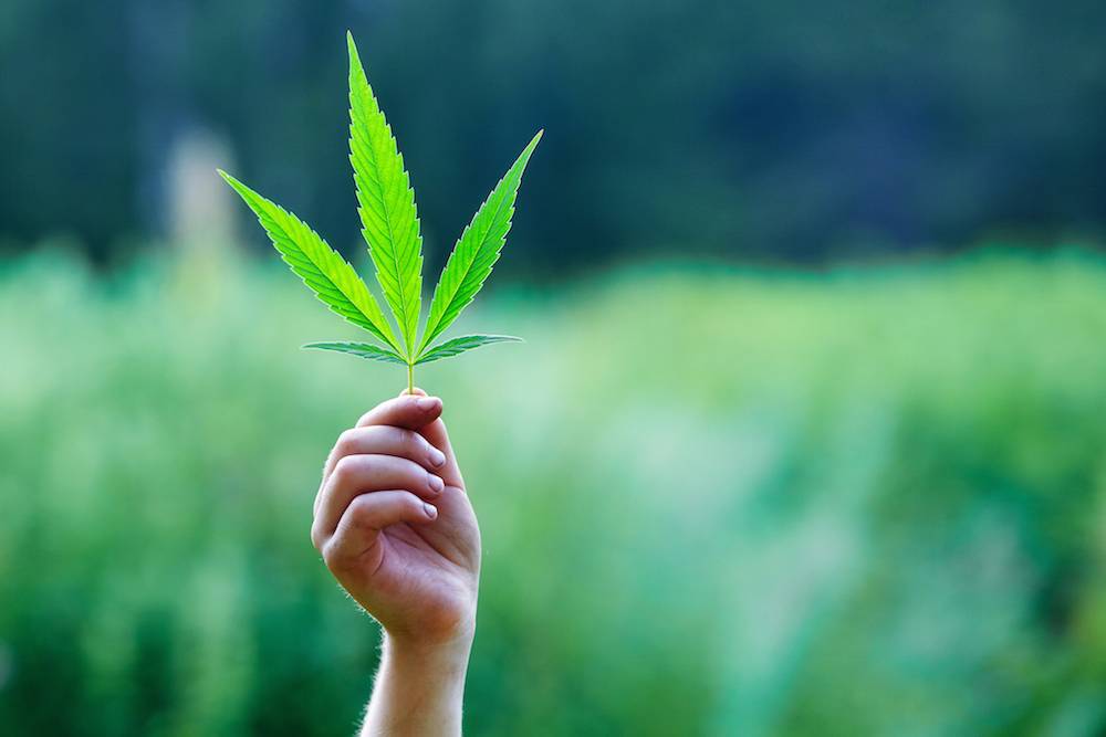 DionyMed Brands Inc (OTCMKTS: DYMEF): Q1 Revenue Beat Triggers Bounce Back