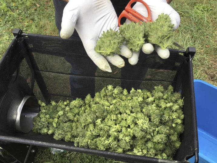 Origin House (OTCMKTS: ORHOF) Bulls Remain In Control